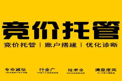 搜索引擎营销（SEM）公司某某的客户成功故事